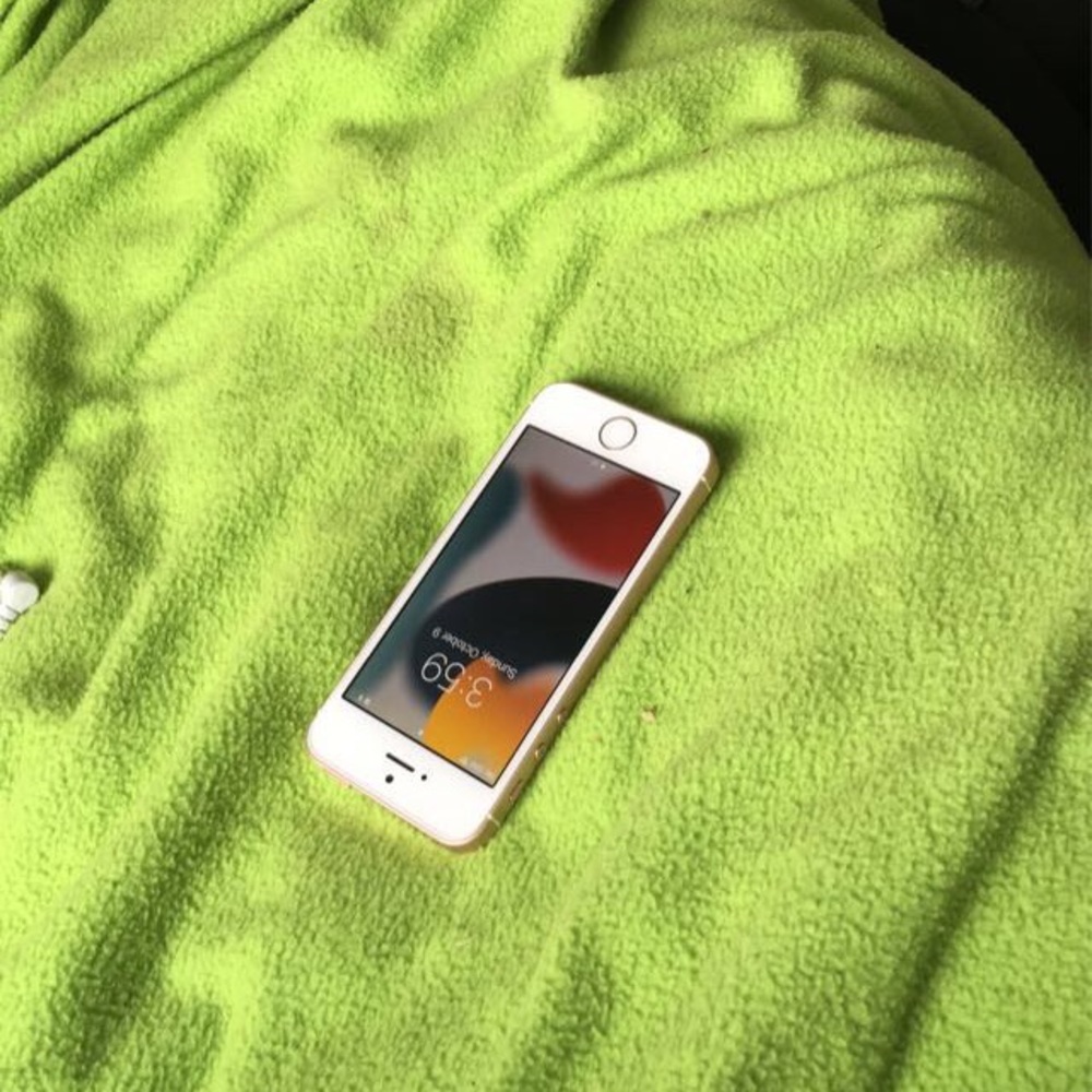 iPhone Se rose gold panted grey back.